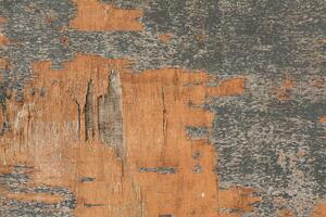 Gray old dry vined vintage wood plywood background photo