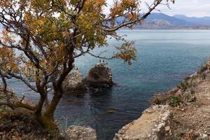 two big rock in seaor ocean water photo