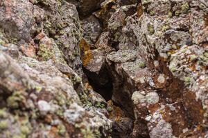 natural colored pattern on a single stone with moss and fungus wind Salts time photo