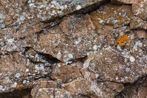 natural colored pattern on a single stone with moss and fungus wind Salts time photo