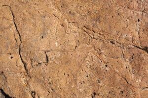 natural colored pattern on a single stone with moss and fungus wind Salts time photo