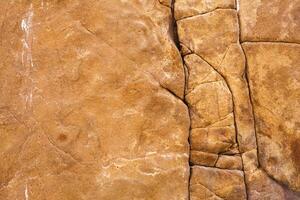 natural colored pattern on a single stone with moss and fungus wind Salts time photo