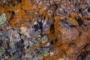 natural colored pattern on a single stone with moss and fungus wind Salts time photo