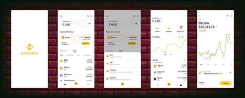 Binance interface. Screenshots of a crypto exchange for trading tokens. Cryptocurrency logo. A set of the best cryptocurrency token logos. Bitcoin, Ethereum, USDT, BNB, and other. Editorial vector