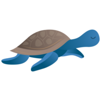 jolie tortue de mer png