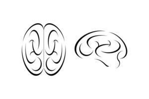 Set Human Brain Line Drawing Vectors on White Background