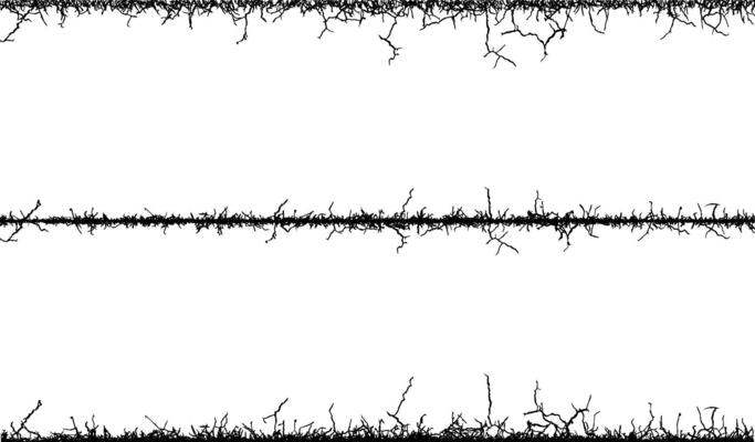 black and white vertical lines with branches, barbed wire seamless pattern vector, vintage border,spiky wire fencing, grungy border barrier,barbed wire border,barbwire wire fence,