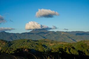 Ta Nang - Phan Dung route with milestone between 3 provinces through grass hills and forests in Song Mao Nature Reserve photo