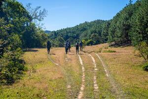 ejército de reserva nang - phan estiércol ruta con hito Entre 3 provincias mediante césped colinas y bosques en canción mao naturaleza reserva foto