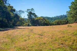 Ta Nang - Phan Dung route with milestone between 3 provinces through grass hills and forests in Song Mao Nature Reserve photo
