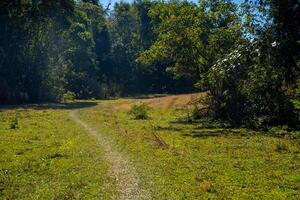 Ta Nang - Phan Dung route with milestone between 3 provinces through grass hills and forests in Song Mao Nature Reserve photo