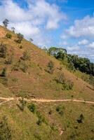 Ta Nang - Phan Dung route with milestone between 3 provinces through grass hills and forests in Song Mao Nature Reserve photo