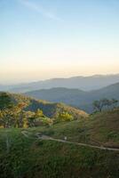 Ta Nang - Phan Dung route with milestone between 3 provinces through grass hills and forests in Song Mao Nature Reserve photo