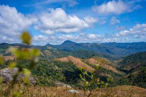 ejército de reserva nang - phan estiércol ruta con hito Entre 3 provincias mediante césped colinas y bosques en canción mao naturaleza reserva foto