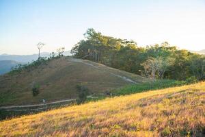 Ta Nang - Phan Dung route with milestone between 3 provinces through grass hills and forests in Song Mao Nature Reserve photo