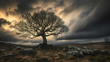 AI generated Resilient Tree Embraces Storms Approach Rooted in Strength Surrounded by Evidence of Obstacles Under Dramatic Sky photo