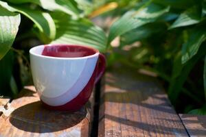 Teatime. tea coffee cup in greenery on a wood surface photo