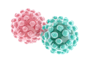 AI generated 3D rendering of two spherical virus models, one pink and one green, depicted with detailed surface proteins, isolated on a transparent background png