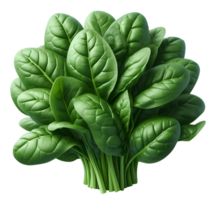 AI generated Spinach png brunch of spinach png spinach brunch png green vegetable png spinach transparent background spinach without background