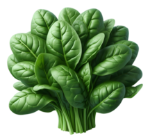 ai gerado espinafre png Escovar do espinafre png espinafre Escovar png verde vegetal png espinafre transparente fundo espinafre sem fundo