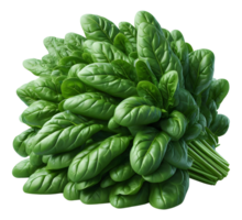 AI generated Spinach png brunch of spinach png spinach brunch png green vegetable png spinach transparent background spinach without background