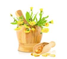 Mortar with Pestle.Assorted Spring Plants photo