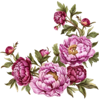 AI generated Radiant Magenta Peony BloomsWatercolor Clipart png
