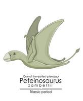 One of the earliest pterosaur Peteinosaurus Zambellii vector