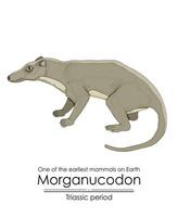 morganucodón, uno de el más temprano mamíferos vector