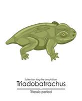 prehistórico saliente parecido a una rana anfibio triadobatraco vector