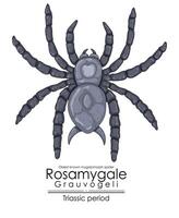 el prehistórico araña rosamygale grauvogeli es el más antiguo conocido migalomorfo vector