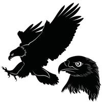 águila volador y cabeza vector