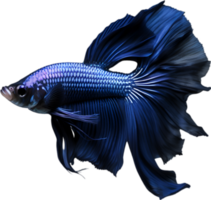 ai generiert Siam Betta Fisch, Aquarell Gemälde von Siam Betta Fisch. png