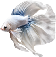 AI generated Siam betta fish, Watercolor painting of Siam betta fish. png