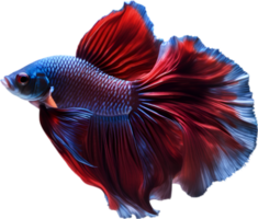 AI generated Siam betta fish, Watercolor painting of Siam betta fish. png