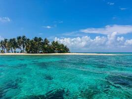 belice cayos - pequeño tropical isla a barrera arrecife con paraíso playa - conocido para buceo, bucear y relajante vacaciones - caribe mar, belice, central America foto