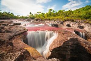 cano cristales es un río en Colombia ese es situado en el sierra Delaware la macarena, en el Departamento de meta. eso es considerado por muchos como el más hermosa río en el mundo foto