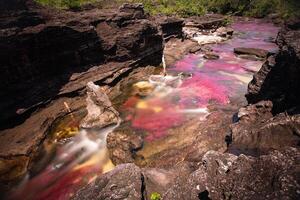 cano cristales es un río en Colombia ese es situado en el sierra Delaware la macarena, en el Departamento de meta. eso es considerado por muchos como el más hermosa río en el mundo foto