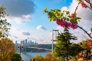 Judas árbol o erguvan con paisaje urbano de Estanbul en el antecedentes foto