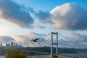 Estanbul vista. bósforo puente y paisaje urbano de Estanbul con nublado cielo foto