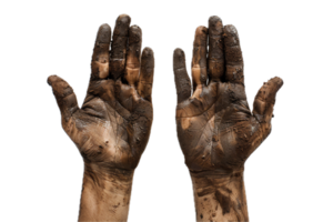 AI generated Dirty Hands Covered in Soil png