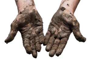 AI generated Dirty Hands Covered in Soil png