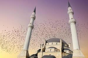 A large white mosque with two minarets. islamic architecture photo