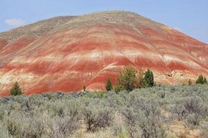 Striated red and brown paleosols in the Painted Hills photo