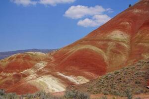 Striated red and brown paleosols in the Painted Hills photo