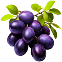 AI generated jambolan or java plum png