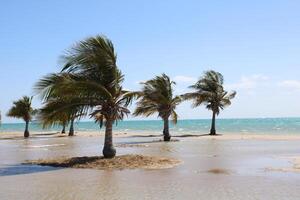 Beautiful daytime view of Royal Commission Beach in Yanbu, Saudi Arabia. photo