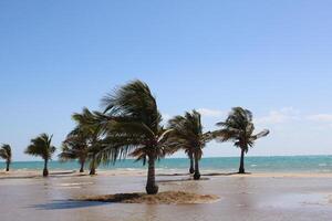 Beautiful daytime view of Royal Commission Beach in Yanbu, Saudi Arabia. photo