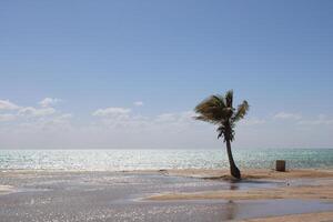 Beautiful daytime view of Royal Commission Beach in Yanbu, Saudi Arabia. photo