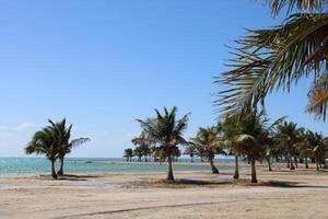 Beautiful daytime view of Royal Commission Beach in Yanbu, Saudi Arabia. photo